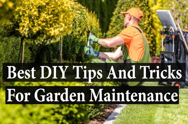 best garden maintenance tips